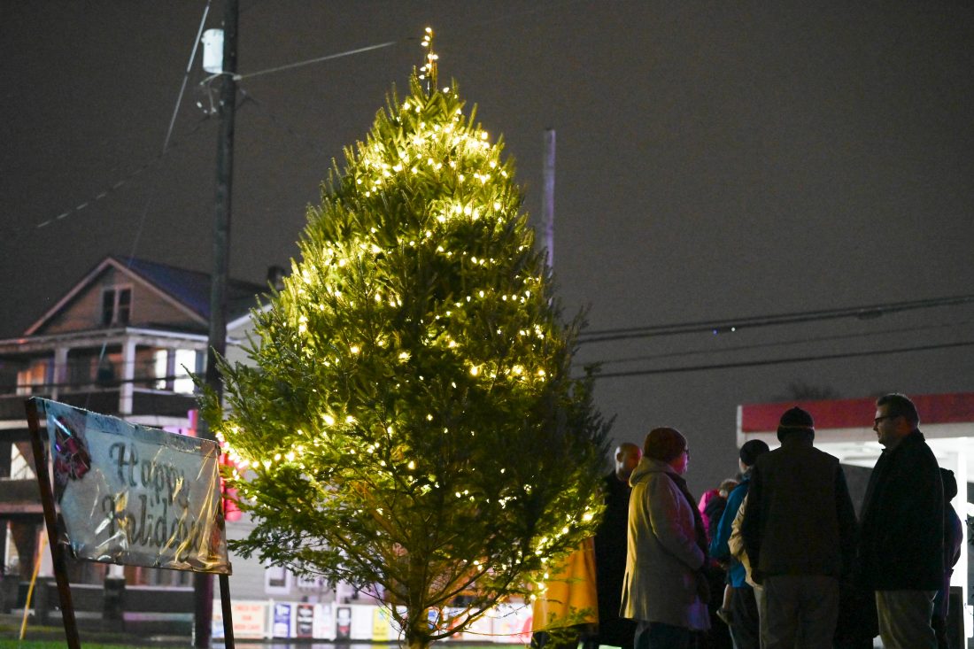 Newberry tree lighting brings small crowd News, Sports, Jobs